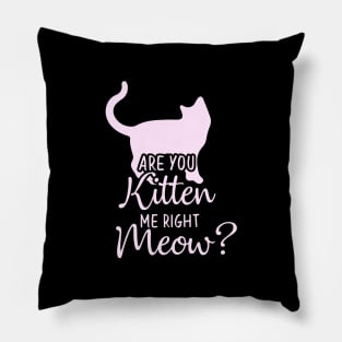 Funny Cat Phrase, Are You Kitten Me Meow Pillow