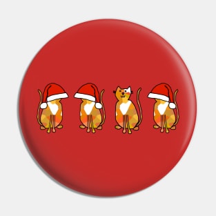 Christmas Cats with Santa Hats Pin