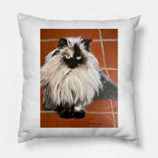 Persian Cat Pillow