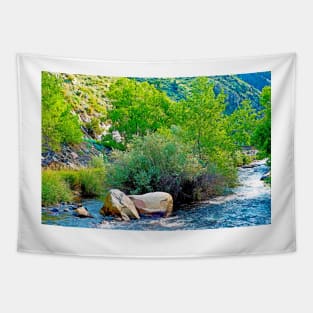 Big Thompson River View Downstream Tapestry