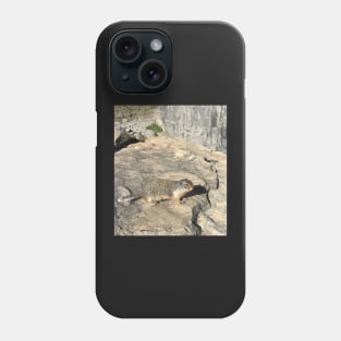 Ground Squirrel Phone Case