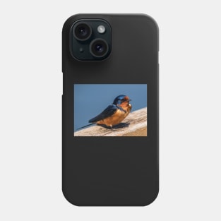 Barn Swalllow Portrait Phone Case