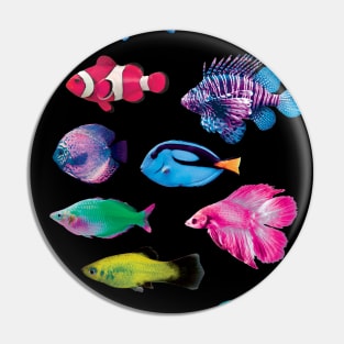 Colorful Fish Pin