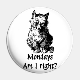 Mondays, am I right? Pin