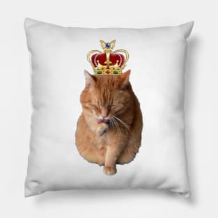 His Majesty Chonklord Ferdinand Pillow