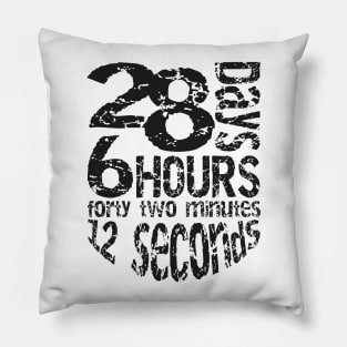 28 days 6 hours 42 minutes 12 seconds Pillow