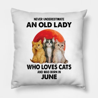 Never Underestimate An Old Lady Who Loves Cats And Was Born In June Pillow