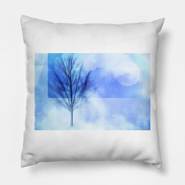 Winter Solstice Pillow by JimDeFazioPhotography