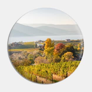 Okanagan Valley Vineyards in October Pin