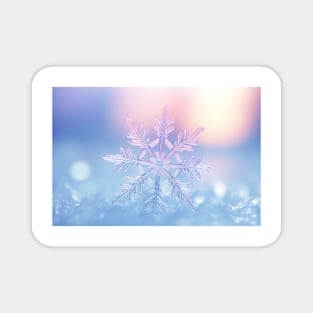 Snow Flake Nature Serene Tranquil Peace Magnet
