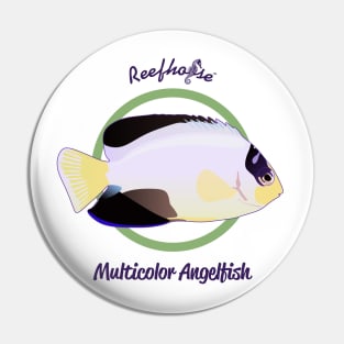 Multicolor Angelfish Pin