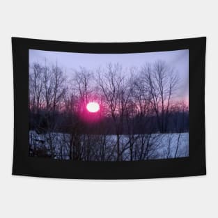 Winter Sunrise Art Photography Snowy Nature's Beauty Season Winter Tapestry