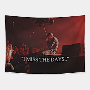 NF I miss the days Tapestry