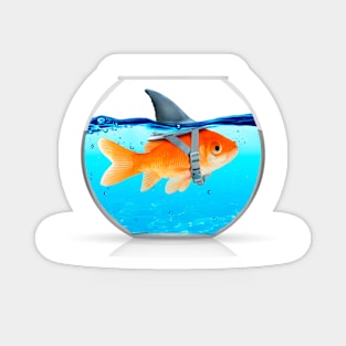 Fish with fin t shirt Magnet