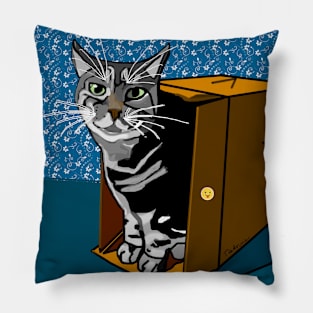 Cat in a box Cute Tabby Copyright by TeAnne Pillow