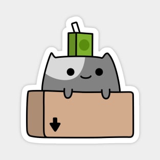 Box Cat Magnet