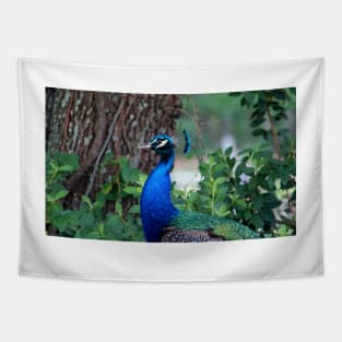 Peacock Profile Tapestry