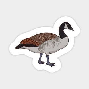 Drawing of a Canada Goose Magnet