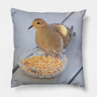 Mourning Dove No.2 Pillow