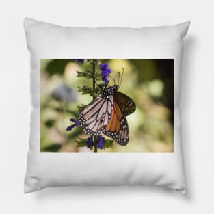 Monarchs of Mexico Pillow