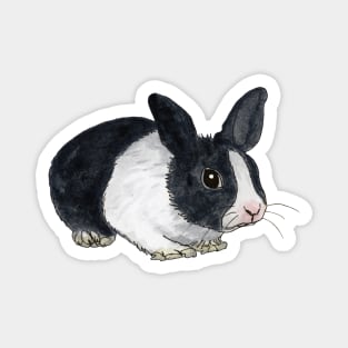 Black and white dwarf rabbit Magnet