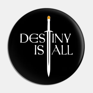 Destiny Is All! Pin