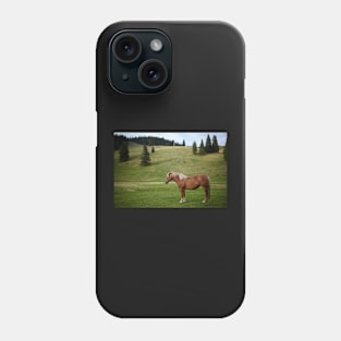 Brown horse on a pasture Phone Case