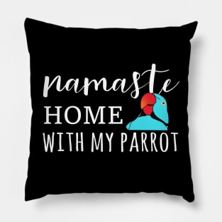 Namaste Home with my blue indian ringenck Pillow