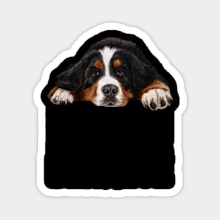 Bernese mountain dog Magnet