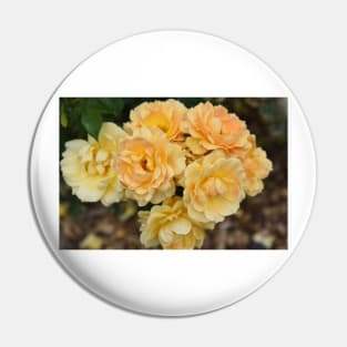Yellow Rose Bouquet Pin