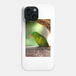 Red Eye Phone Case