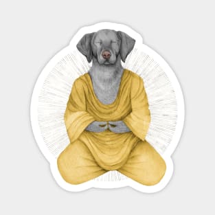 meditating dog 1 Magnet