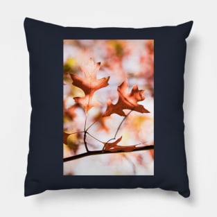 Autumn leaf from Honour Avenue, Mount Macedon, Victoria, Australia. Pillow