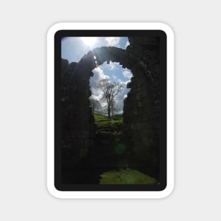 Fountains Abbey Magnet