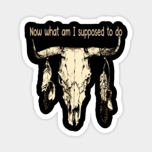 Now What Am I Supposed To Do Bull Skull Outlaw Music Feathers Vintage Magnet