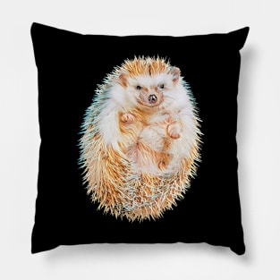 Hedgehog - Woodland Themed Kids Room, Funny Gifts For Forester, Cute Anima Pillow