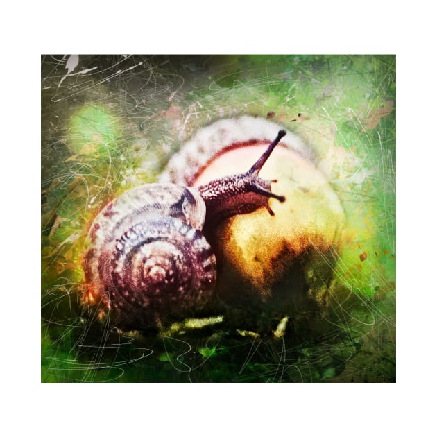 Snail by TortillaChief