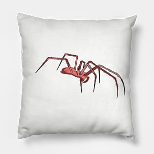 Red Spider Pillow