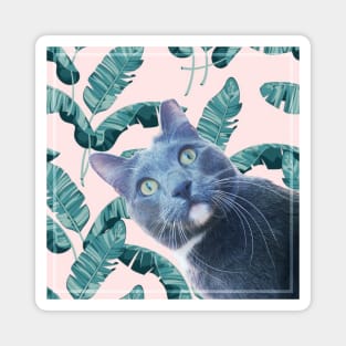 Summer of Roger the Cat Pastel Pink Palm Leaves Magnet