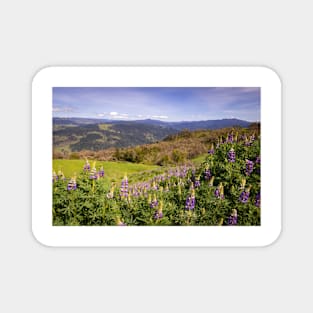 Lupine flowers and mountains Magnet