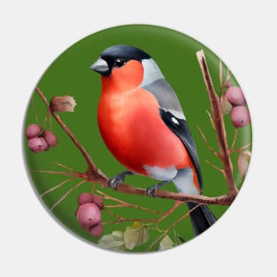 Watercolor Bullfinch on a Twig Pin