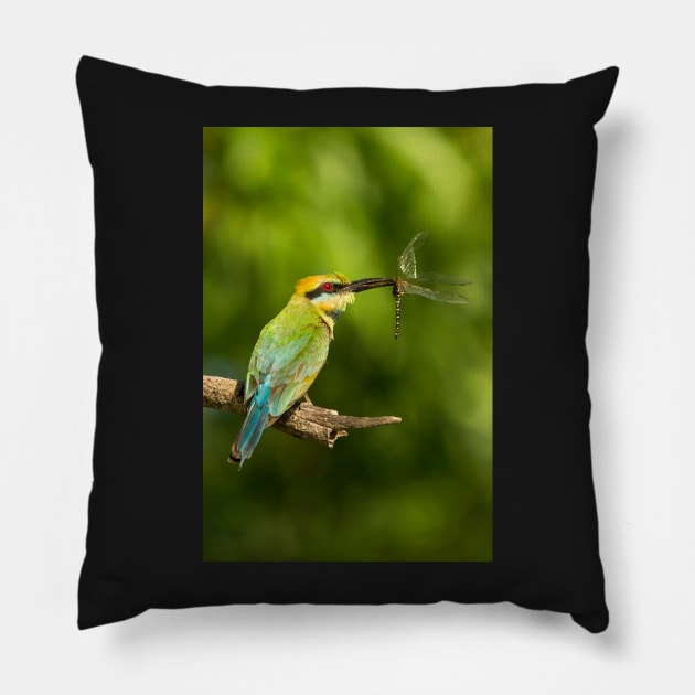 Rainbow Bee-Eater, Northern Territory Pillow by AndrewGoodall