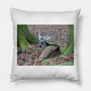 Beautiful Deer Pillow