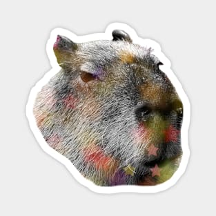 Capybara Disco Magnet