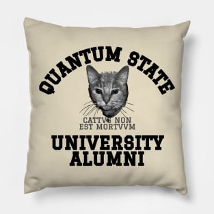 Quantum State Alumni Schrodinger's Cat Funny Science Pillow