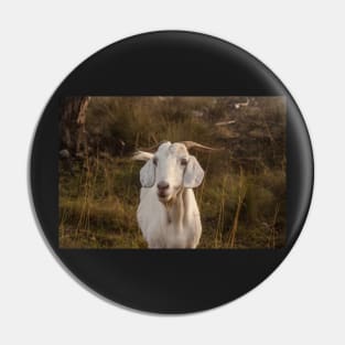 Nanny Goat Pin