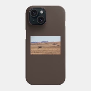 Gemsbok walking on the sandy plain. Phone Case