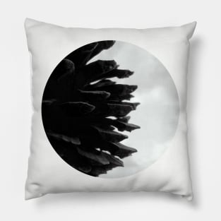 Pine Cones Pillow