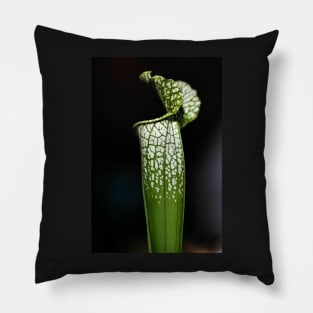 Green Pitcher Plant Study Pillow