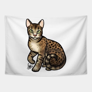 Cat - Ocicat - Brown Spotted Tapestry